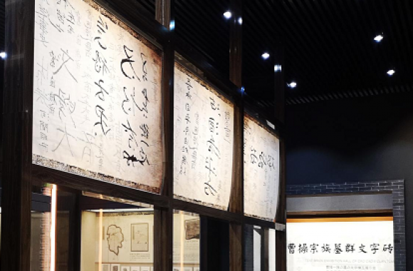 主题陈列